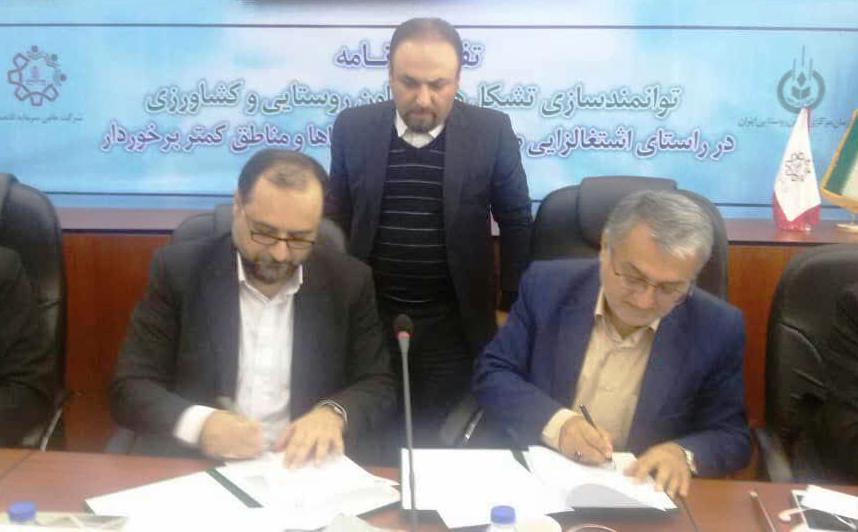 سازمان ...